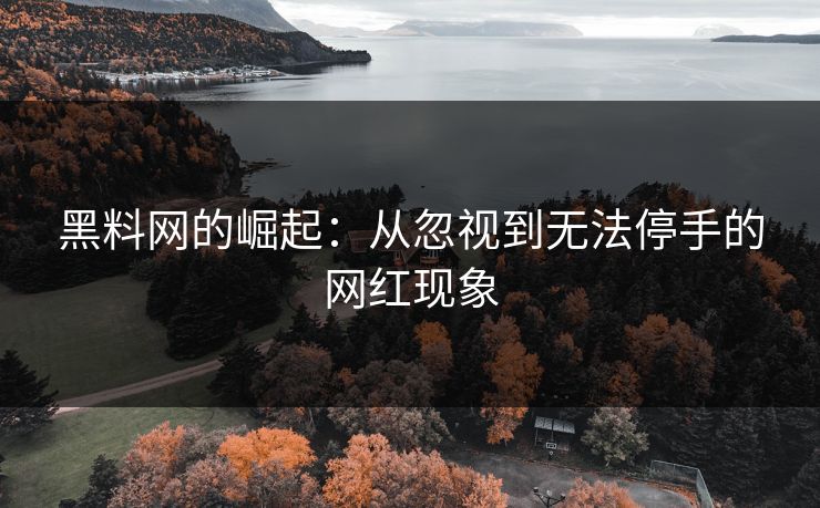 黑料网的崛起：从忽视到无法停手的网红现象